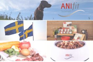 Read more about the article Warum Anifit Hundefutter, das Beste ist!