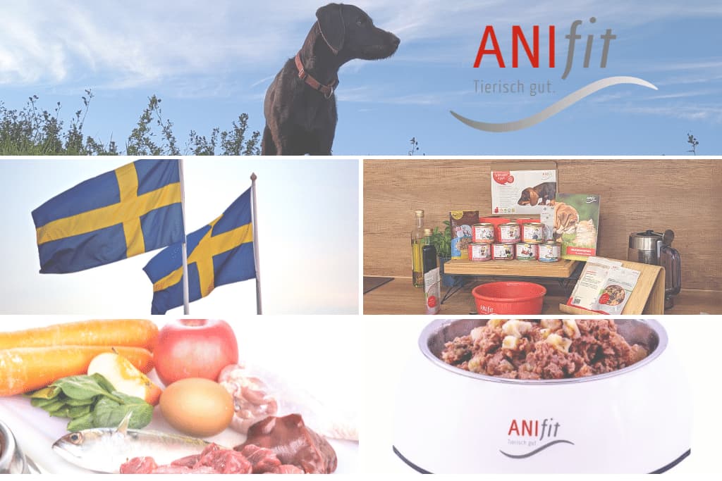 You are currently viewing Warum Anifit Hundefutter, das Beste ist!