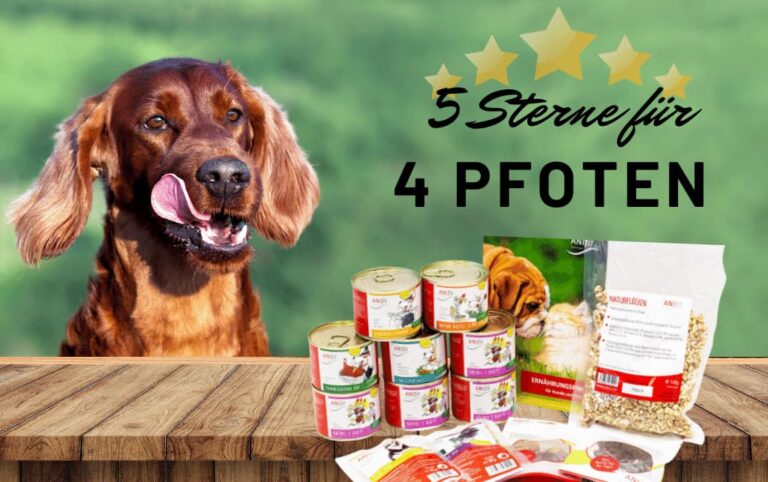 Anifit Hundefutter mit Hund
