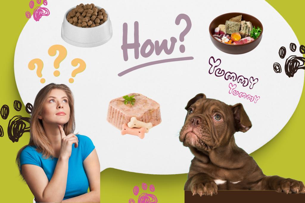 gutes hundefutter finden